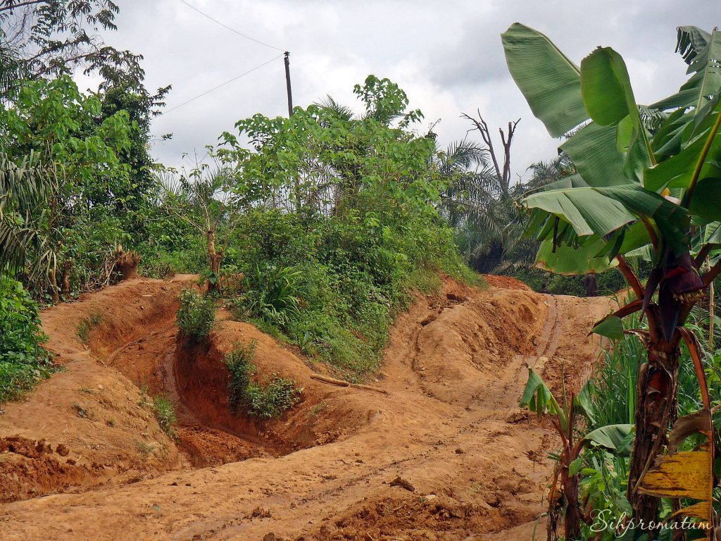 5-Pick-a-road.-Cameroons-main-highway-exciting-Nigeria-1024x768