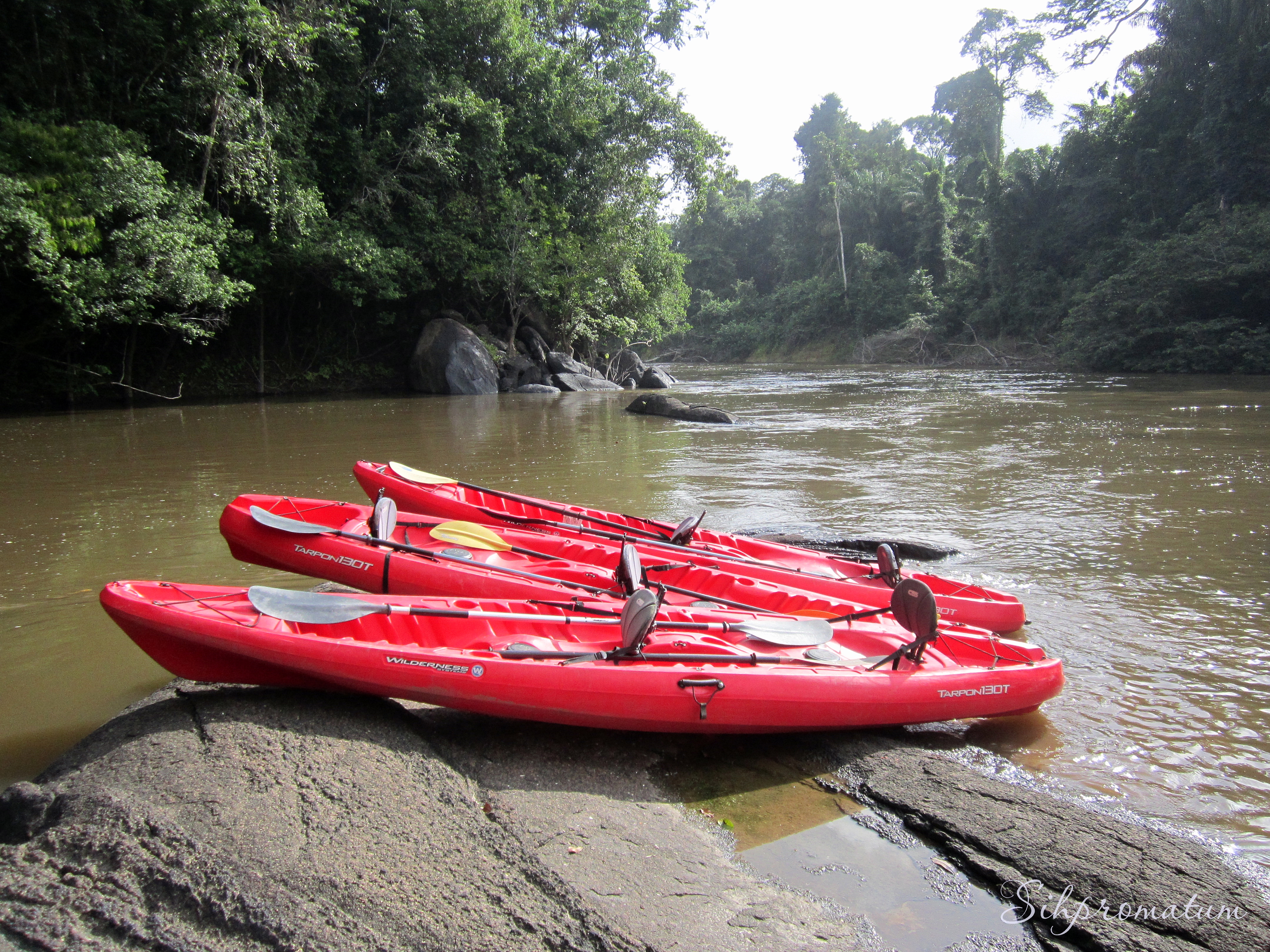 8.-Kayaking-in-Amazon-Rainforest-Suriname