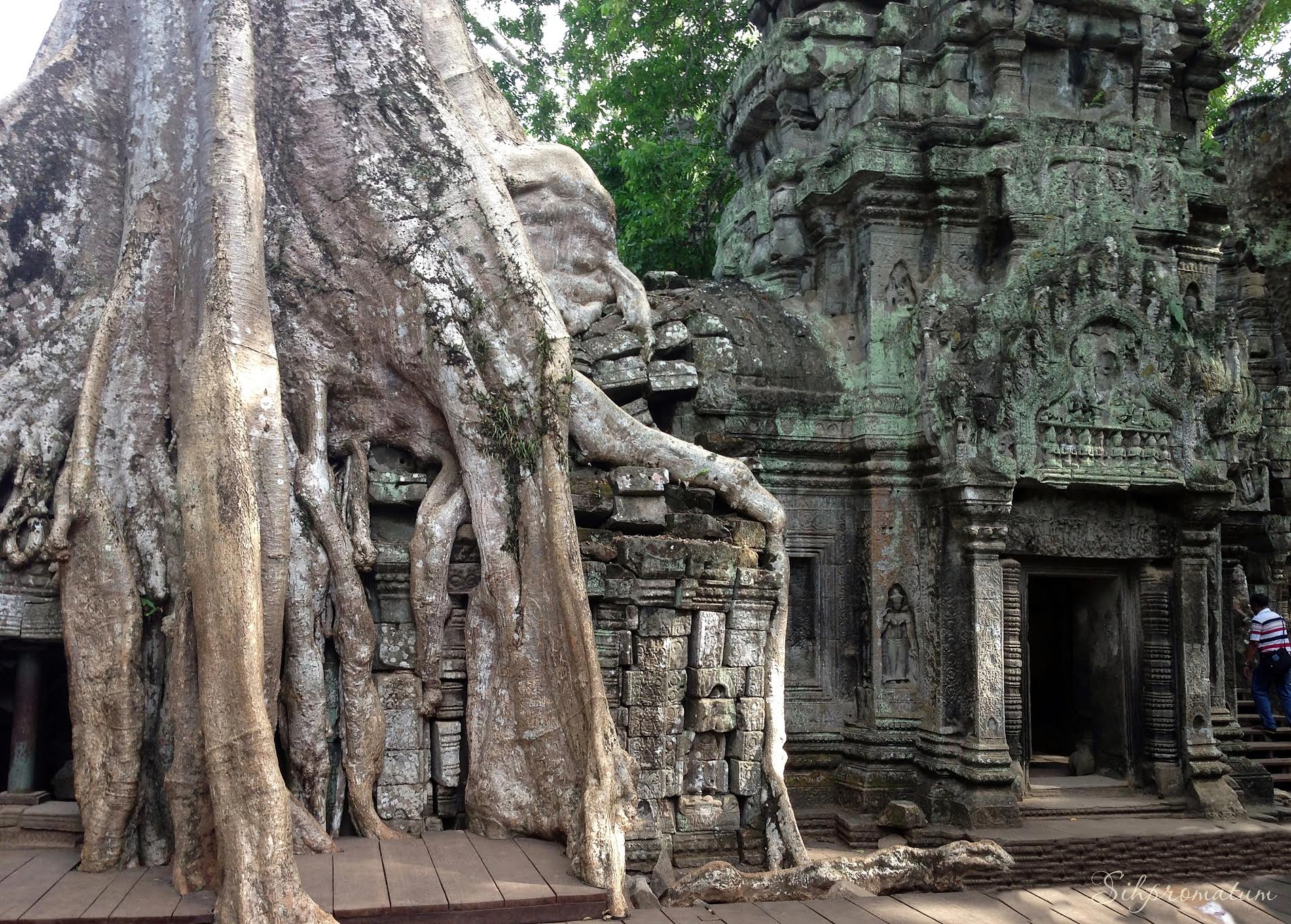 Angkor-Wat-Cambodia