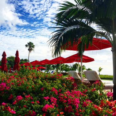 Beautiful-gardens-by-one-of-several-swimming-pools-at-Four-Seasons-Nevis