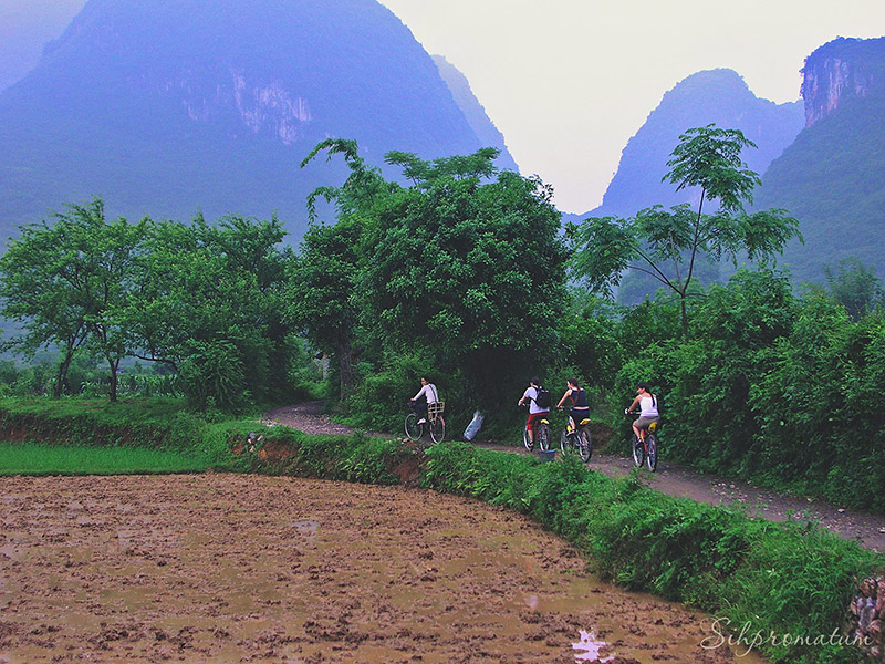 Biking-through-the-fields-of-the-countryside-Yangshuo