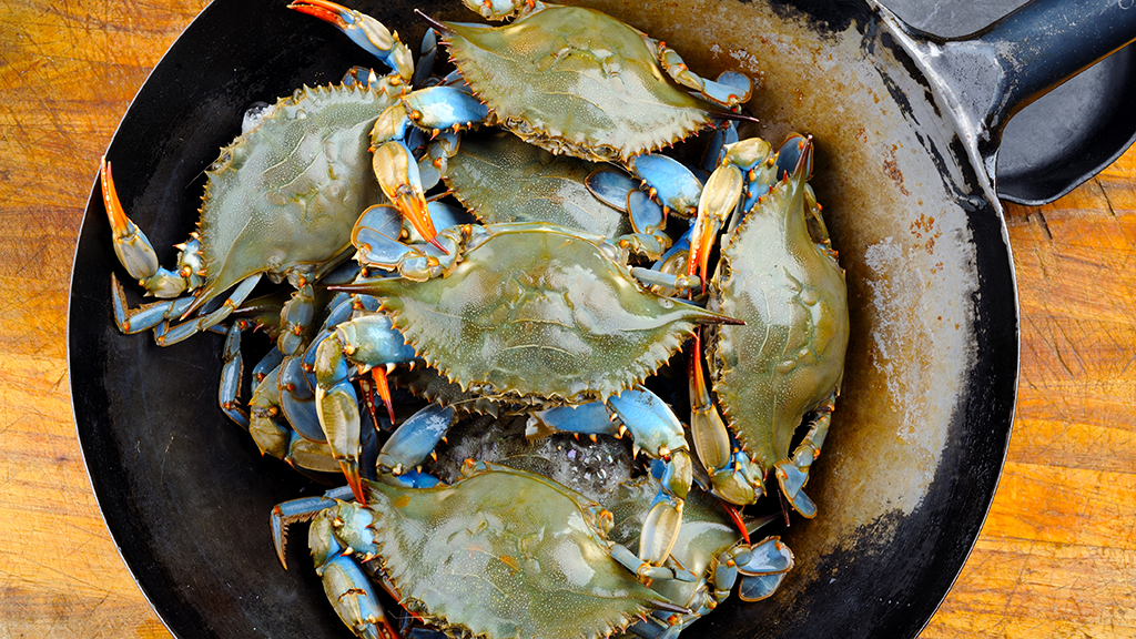 BlueCrab