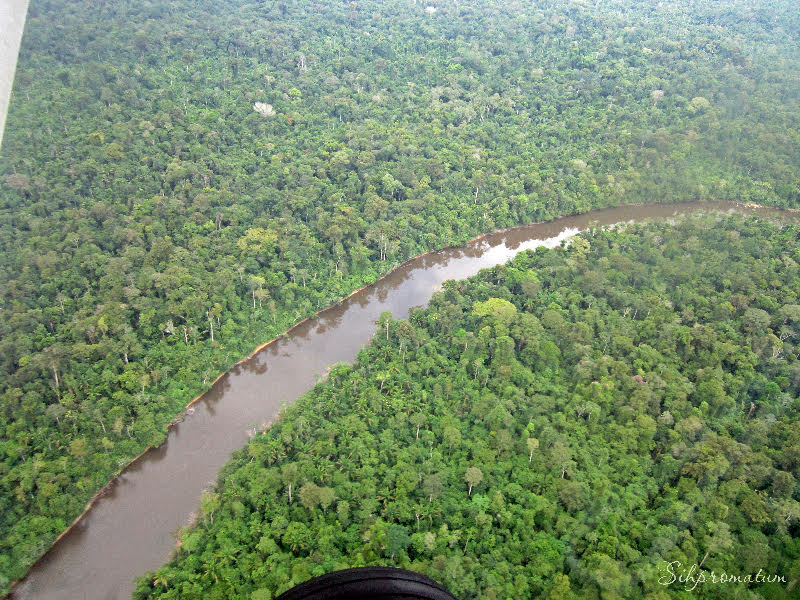 Chocolaty-Rivers-of-Suriname-Outback