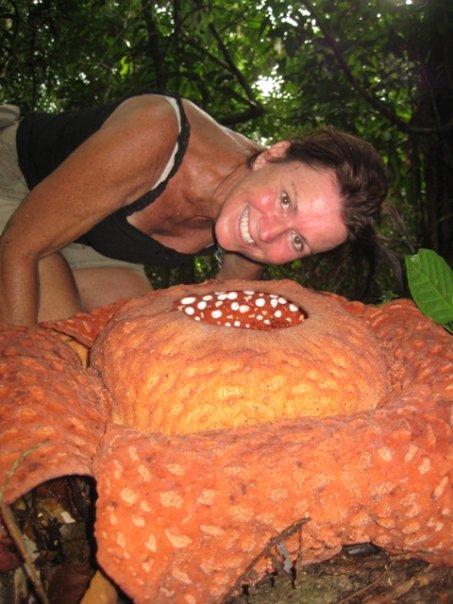 Discovering-the-largest-flowers-in-the-world-in-Borneo