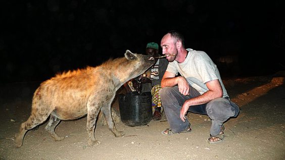 Hyena-Feeding-Ethiopia