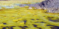 It-looks-like-scrambled-eggs-at-the-putrid-sulphur-lakes-of-Danakil-Depression-Ethiopia.-800x400