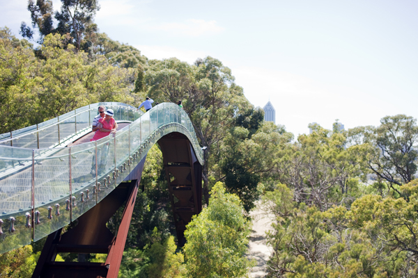 kings-park-treetopwalk