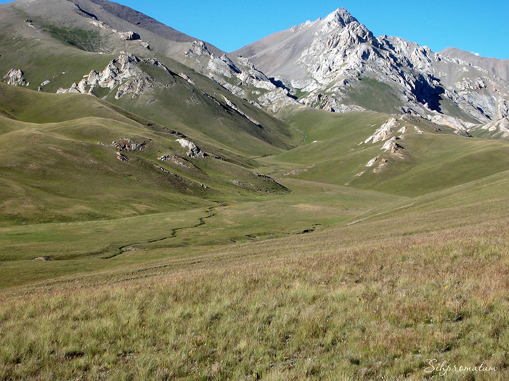 Lake-Songkol-Kyrgyzstan