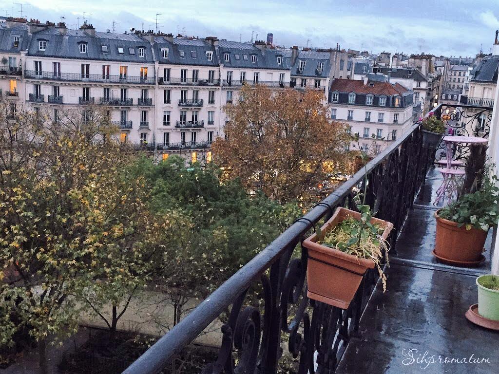 Love-our-wrap-around-balcony-on-the-top-floor-in-Paris-France