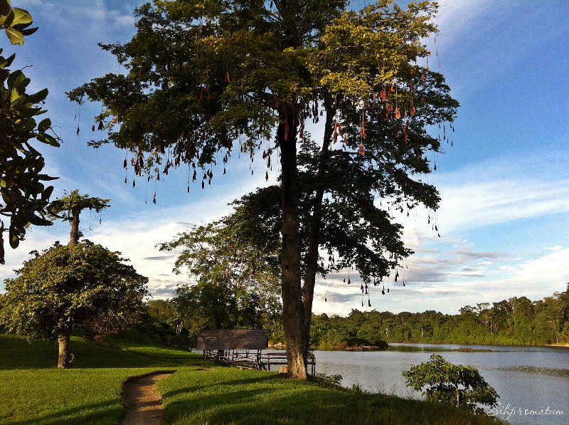 Peaceful-remote-spot-by-the-river