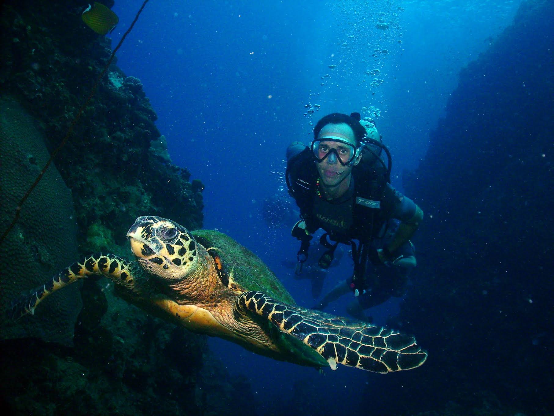 Scuba-Diving-Thailand