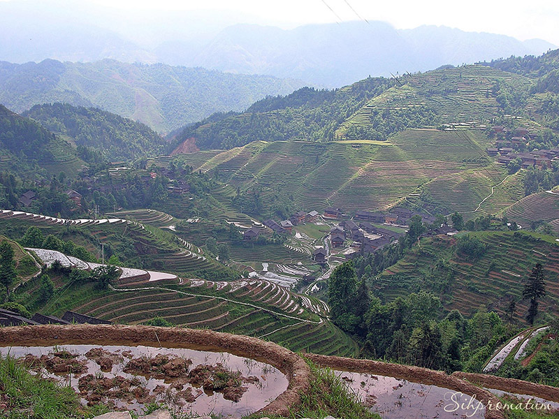 Stunning-views-of-Longjis-Rice-Terraces