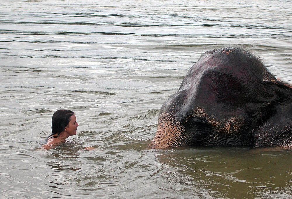 Swimming-with-elephants-in-Chitwan-Nepal