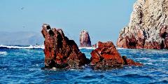 The-Poor-Mans-Galapagos-a-series-of-craggy-rock-formations-inhabited-by-expat-Galapagos-feathery-and-scaly-creatures.-800x400