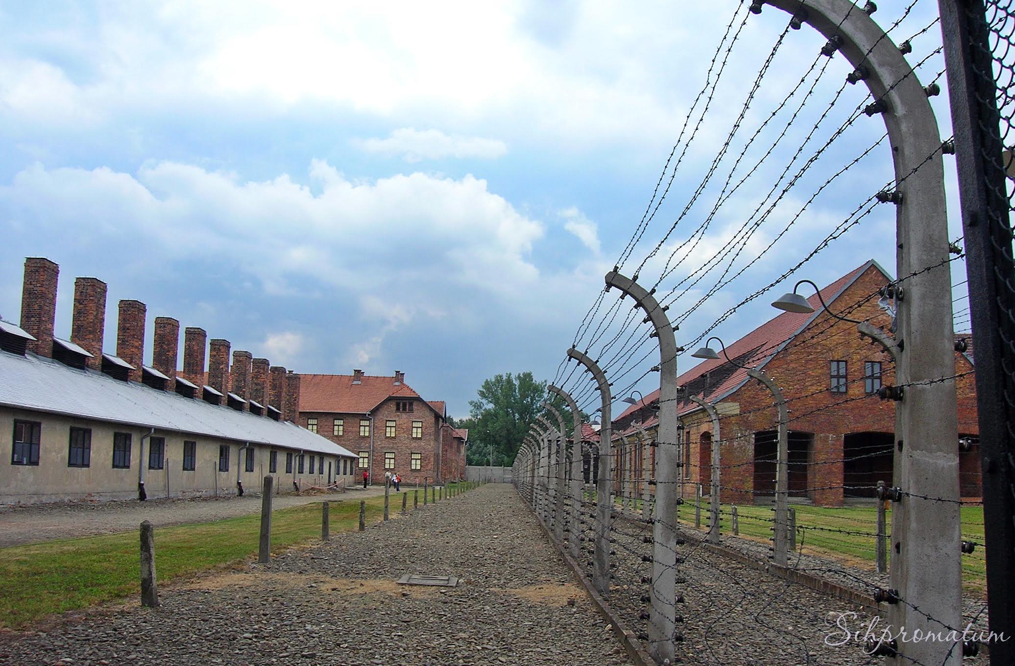 The-unforgiving-electric-fences-at-Auschwitz-concentration-camps-in-Poland.