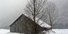 This-lonely-cabin-in-an-isolated-outpost-guards-an-empty-field-in-the-mountains-of-Austria.-Even-color-doesn’t-stop-to-visit-nor-do-we.-800x400