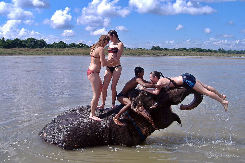 Unforgettable-play-time-with-elephants-in-Chitwan