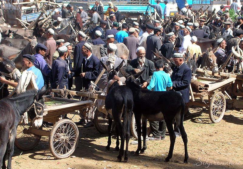 Witnessing-men-in-action-as-they-bargain-for-livestock-in-Kashgars-live-animal-market