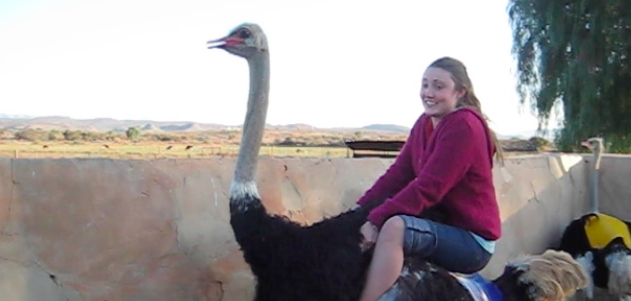 IS RIDING AN OSTRICH COVERED WITH MY TRIPTIME INSURANCE?